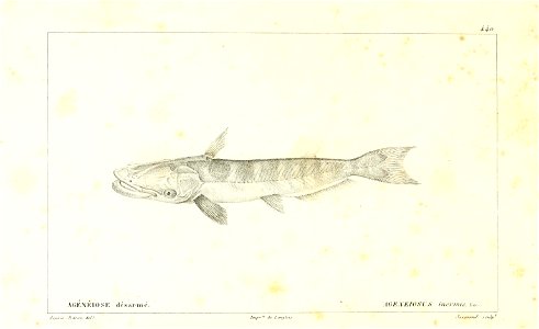 n208_w1150