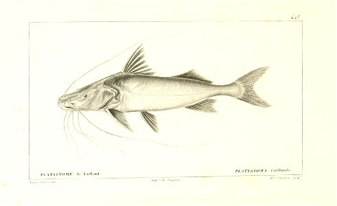 n178_w1150