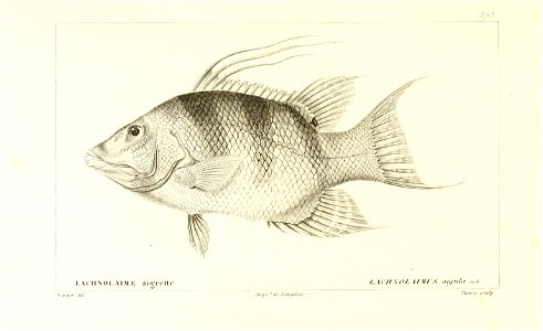 n88_w1150