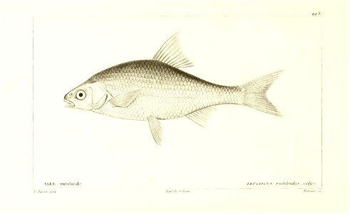 n314_w1150