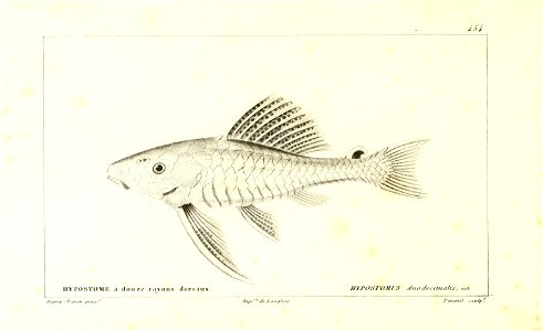 n234_w1150
