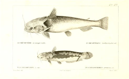 n204_w1150