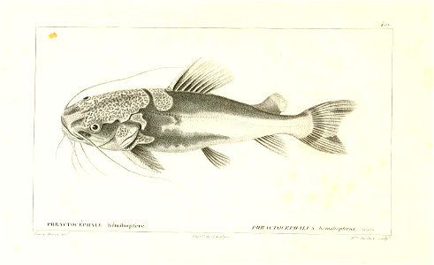 n174_w1150