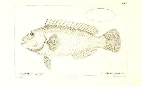 n144_w1150