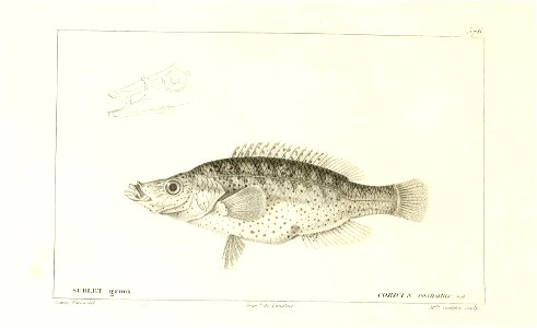 n84_w1150