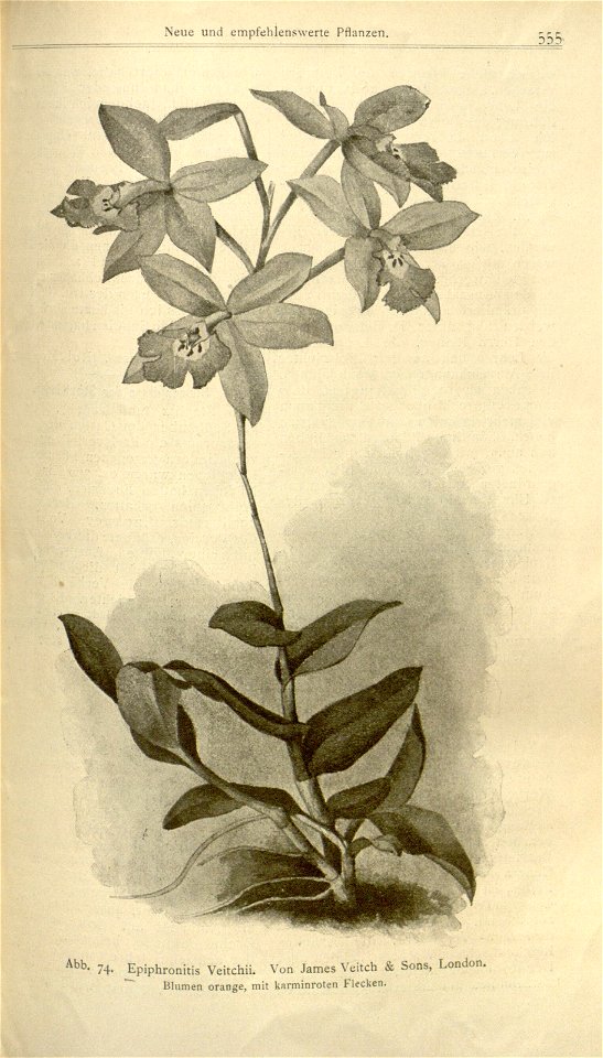 n683_w1150