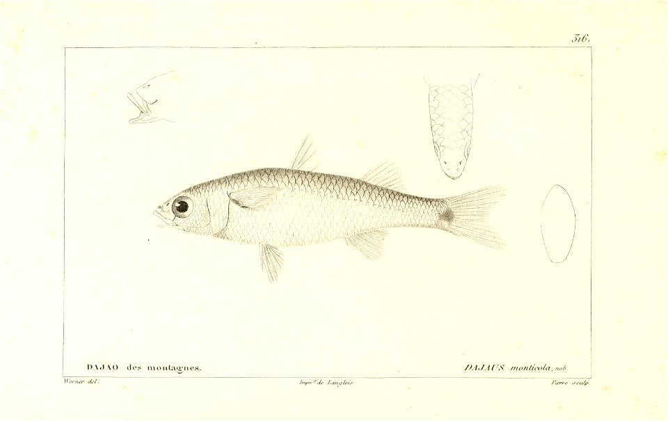n304_w1150
