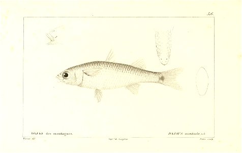 n304_w1150
