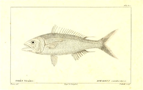 n8_w1150