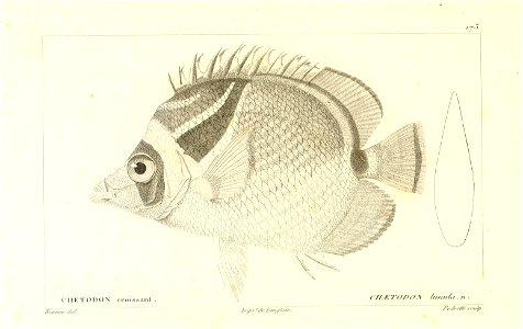 n38_w1150