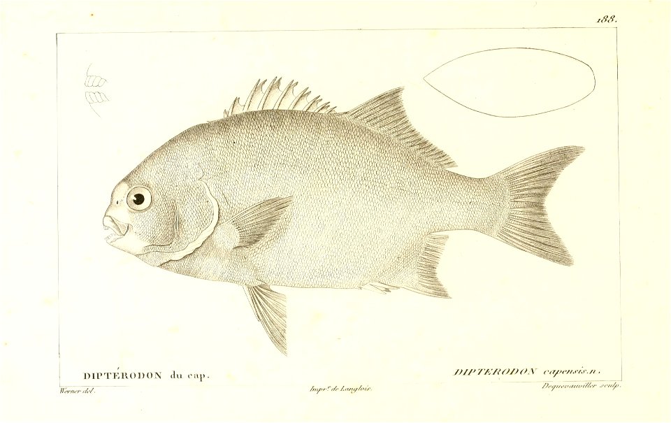 n68_w1150