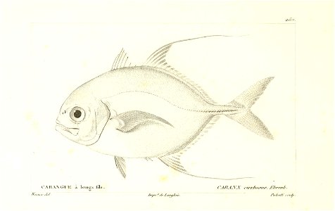 n186_w1150