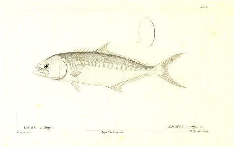 n156_w1150