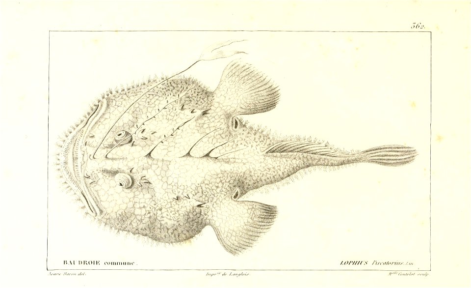 n58_w1150