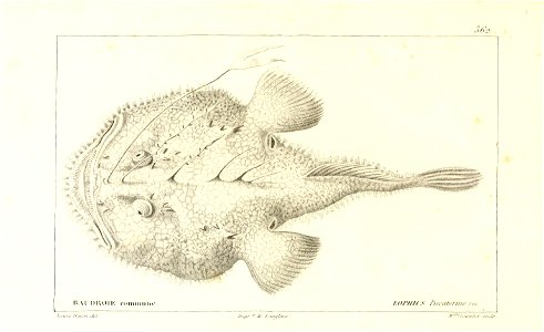 n58_w1150