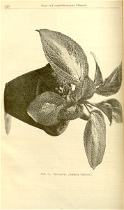 n166_w1150