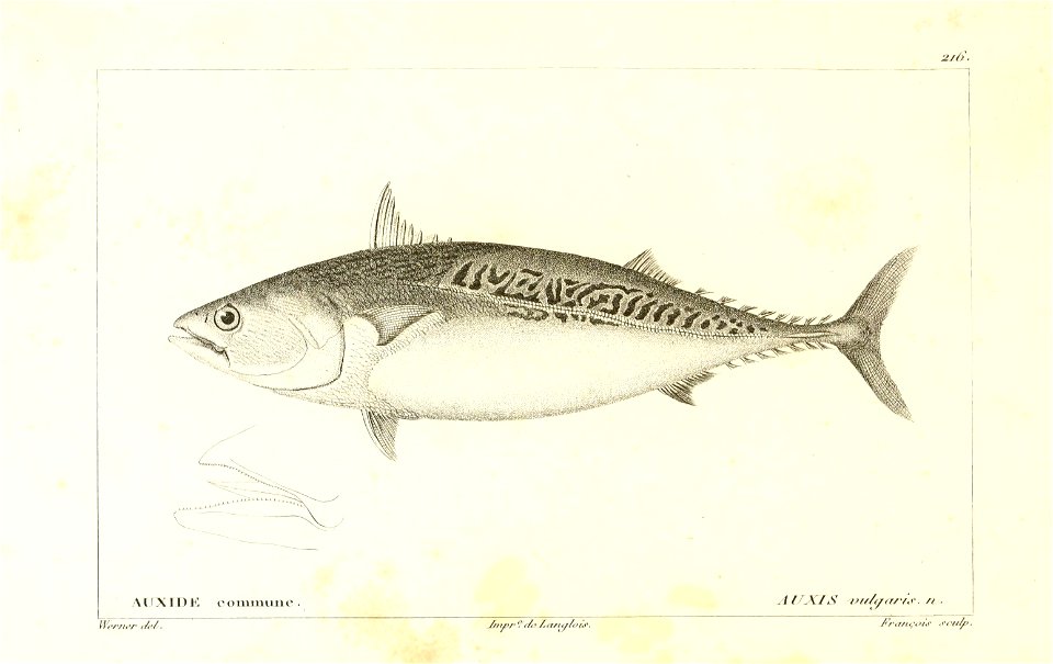 n124_w1150