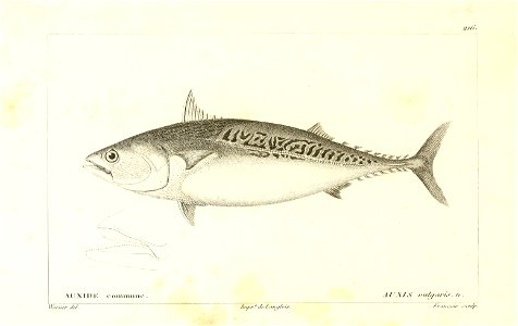 n124_w1150