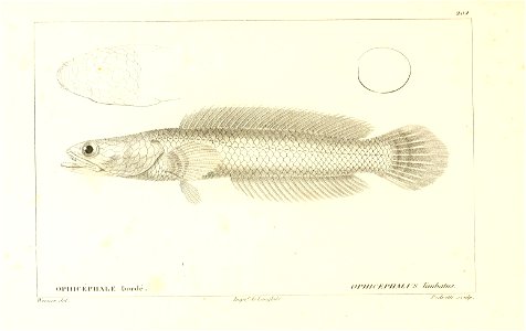 n94_w1150