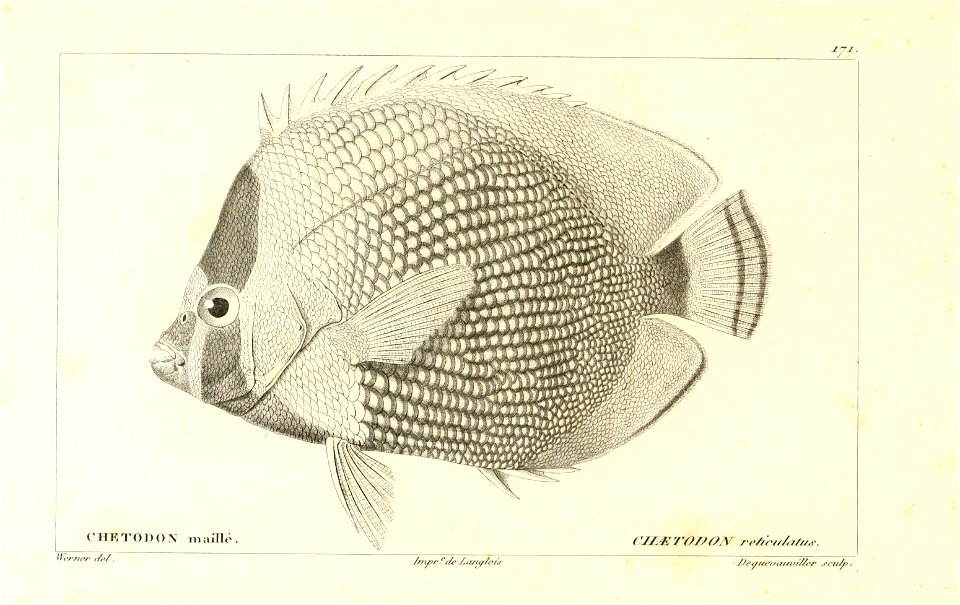 n34_w1150