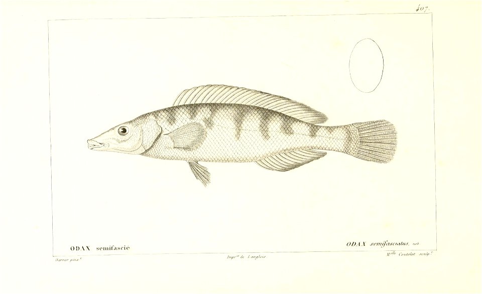 n146_w1150