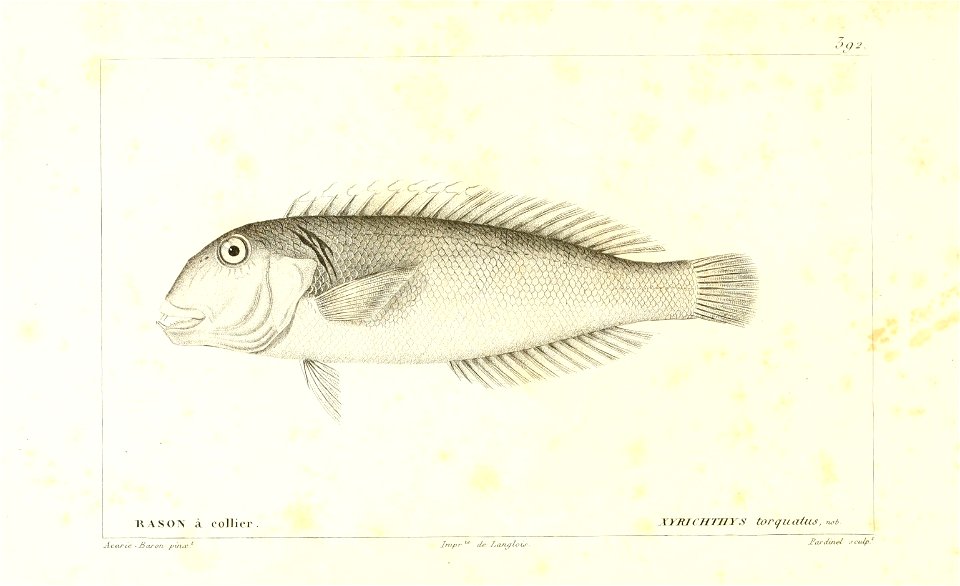 n116_w1150