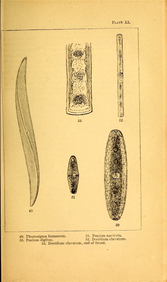 n104_w1150
