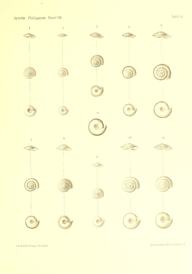 n396_w1150