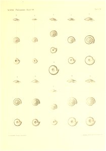 n396_w1150