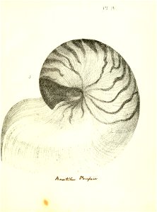 n222_w1150