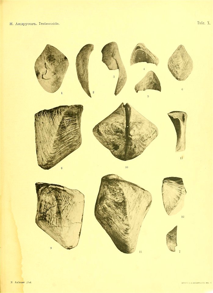 n38_w1150