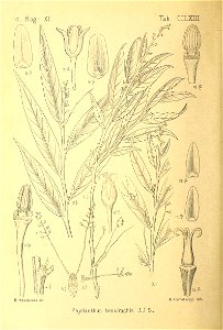 n309_w1150