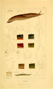 n102_w1150