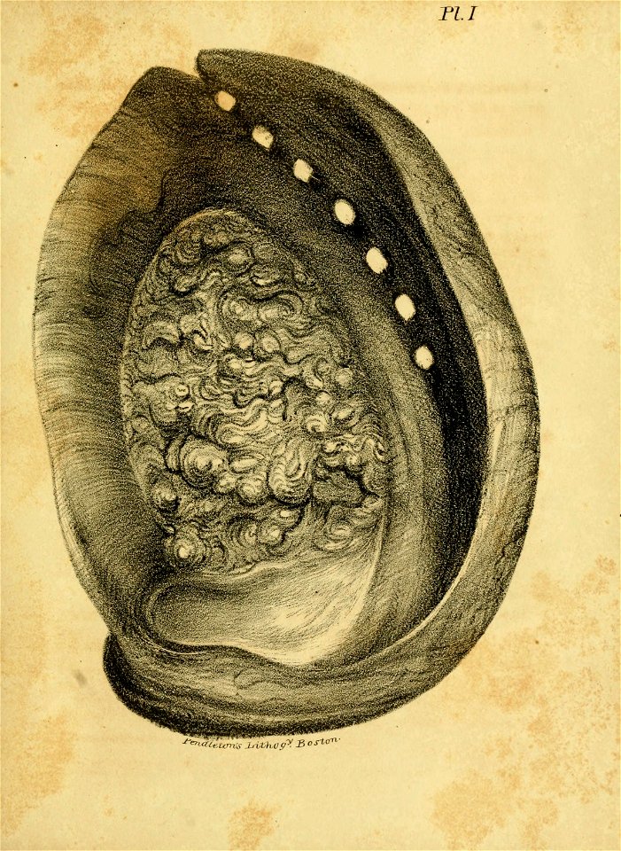 n216_w1150