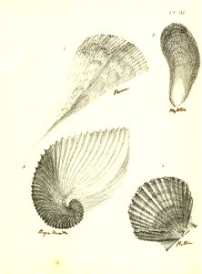 n220_w1150