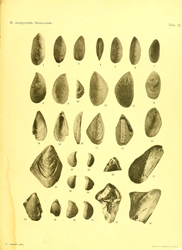 n36_w1150
