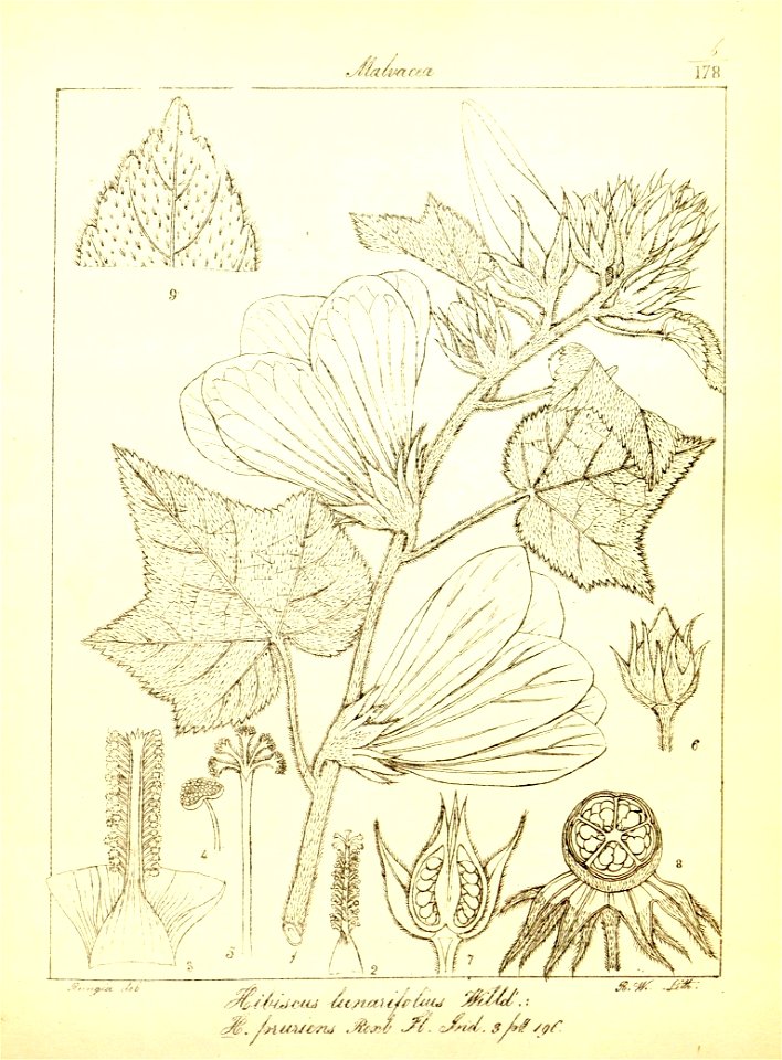 n37_w1150