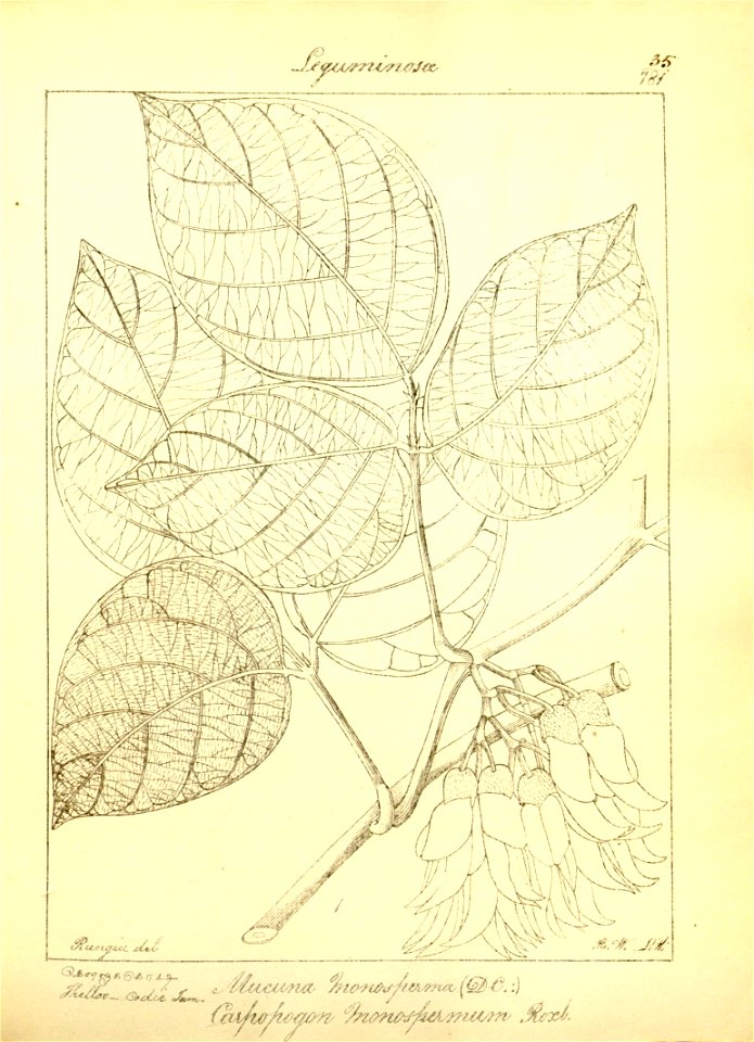 n66_w1150