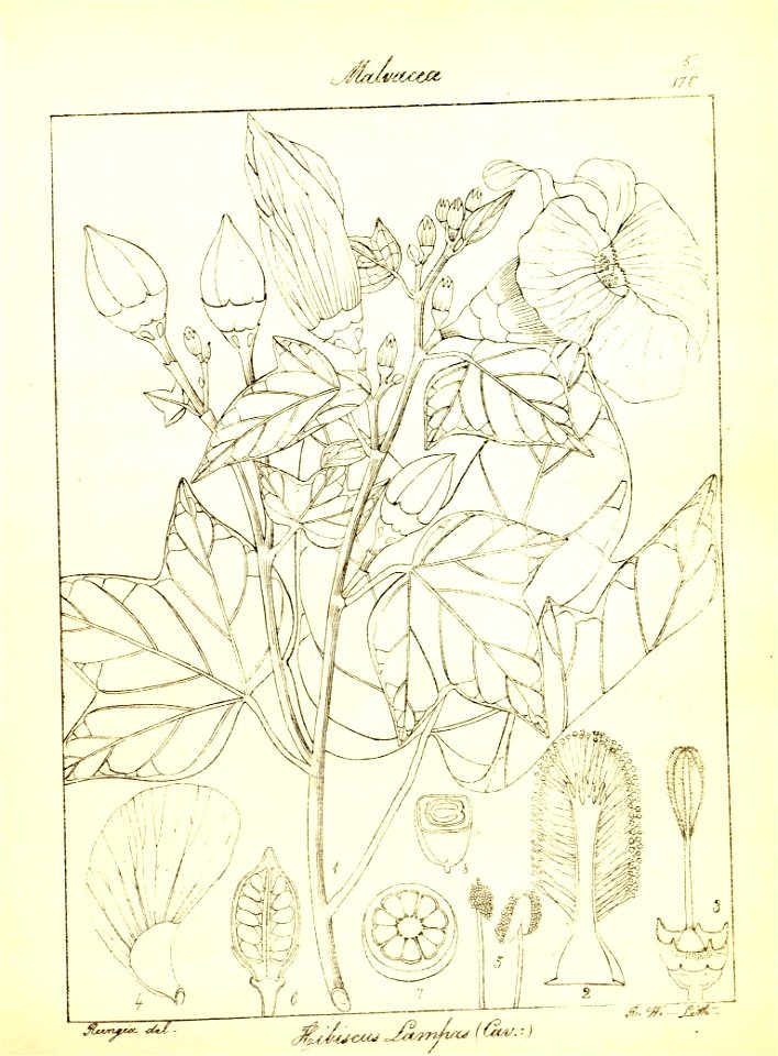 n36_w1150