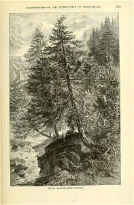 n524_w1150