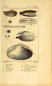 n456_w1150
