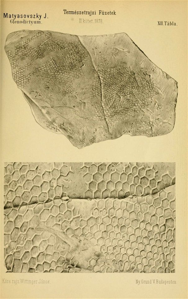 n652_w1150