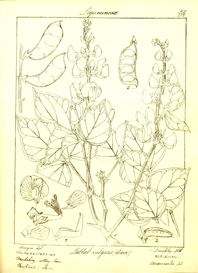 n88_w1150
