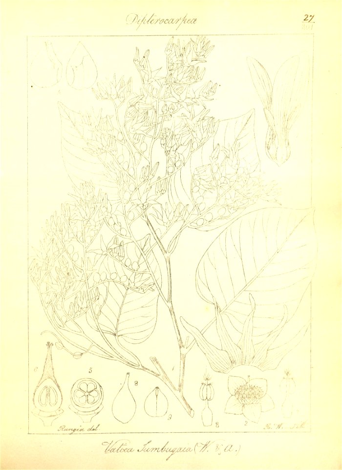 n58_w1150