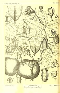 n355_w1150