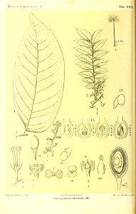 n117_w1150