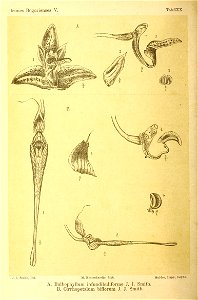 n161_w1150