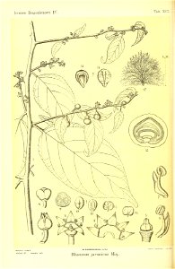 n507_w1150