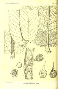 n351_w1150