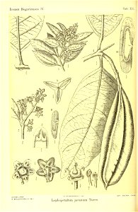 n501_w1150